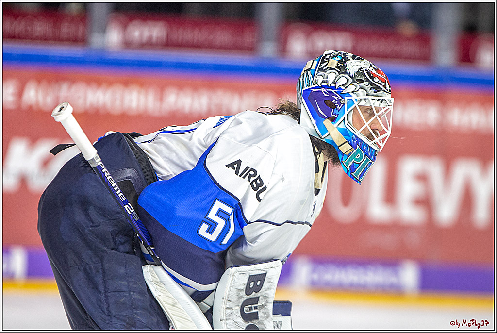 DEL; Koelner Haie - ERC Ingolstadt, 02.01.2019